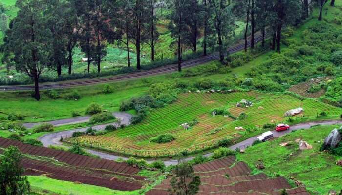 Karnataka Bandipur