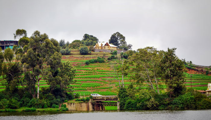 Tamil Nadu Ooty